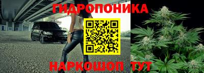 гашик Краснознаменск