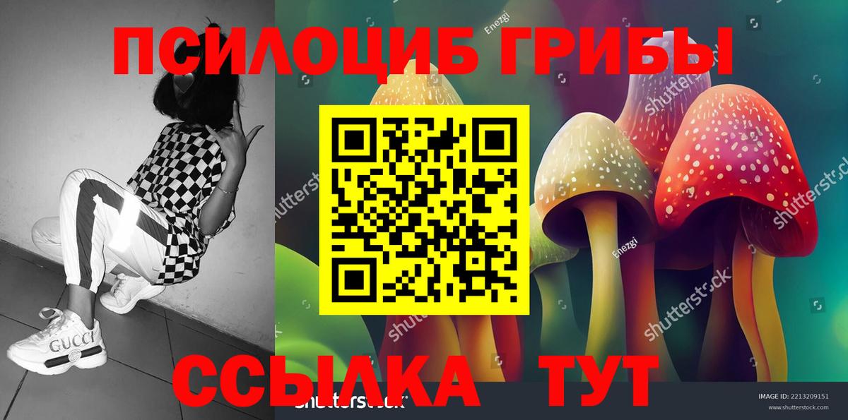 Галлюциногенные грибы MAGIC MUSHROOMS  Вход с VPN  Изобильный 